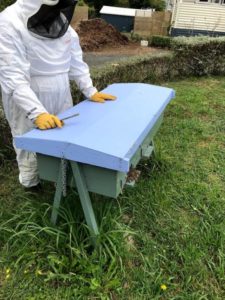 Greg zeigt uns den Prototypen eines TopBar Hives mit Langstroth Wabenmassen.